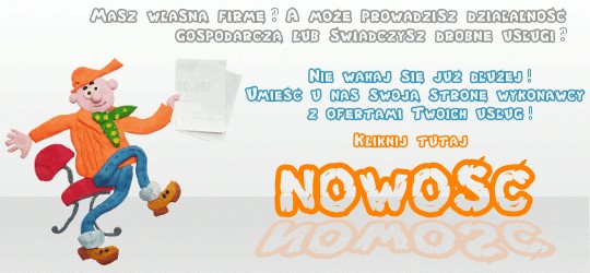 Strona wykonawcy z ofert� us�ug