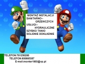 Zdjęcie do aukcji